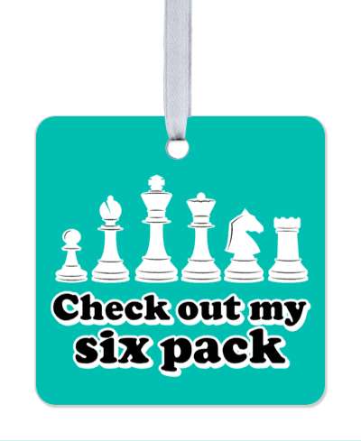 funny check out my sick pack six chess pawn bishop knight queen king rook stickers, magnet