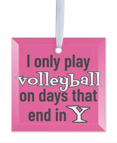 funny saying i only play volleyball on days that end in y stickers, magnet