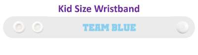 gender reveal team blue male stickers, magnet