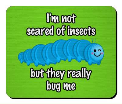green blue im not scared of insects but they really bug me smile caterpillar stickers, magnet