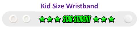 green star student fun stickers, magnet