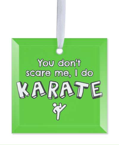 green you dont scare me i do karate sports stickers, magnet
