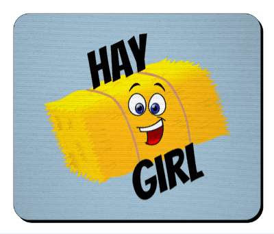 hay girl smile face square bale of hay stickers, magnet