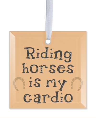 horse riding is my cardio horse shoes orange stickers, magnet