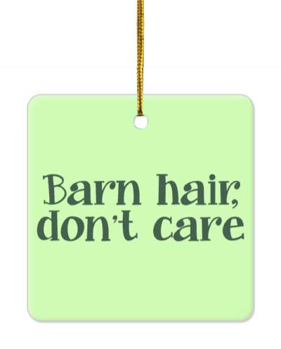 horserider barn hair dont care funny saying stickers, magnet