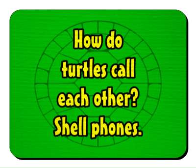 how do turtles call each other shell phones wordplay stickers, magnet