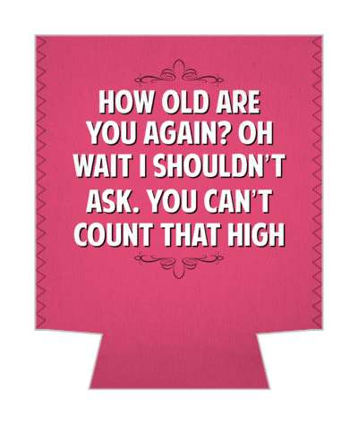 how old are you again oh wait i shouldnt ask you cant count that high witty insults stickers, magnet