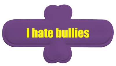 i hate bullies antibully stickers, magnet