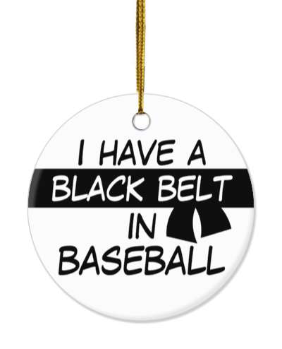 i have a black belt in baseball martial arts stickers, magnet