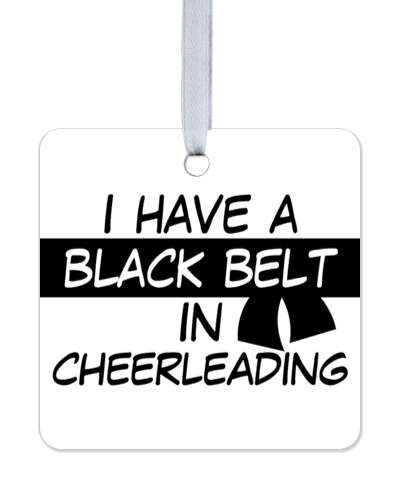 i have a black belt in cheerleading martial arts stickers, magnet