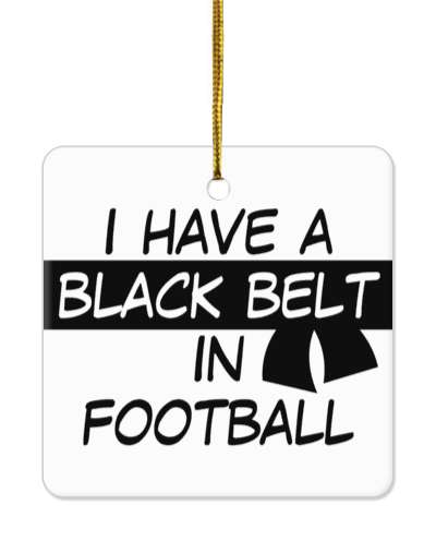 i have a black belt in football martial arts stickers, magnet