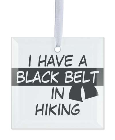 i have a black belt in hiking martial arts black white stickers, magnet