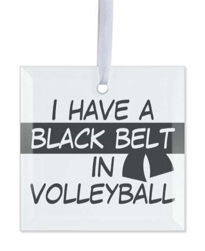i have a black belt in volleyball martial arts sports stickers, magnet