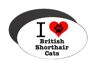 i love heart british shorthair cats stickers, magnet