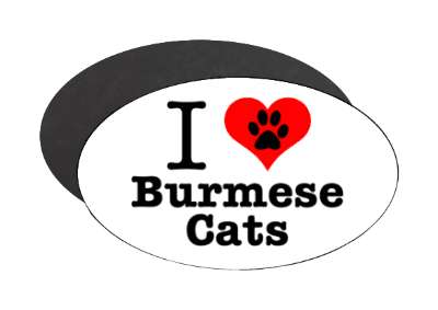 i love heart burmese cats stickers, magnet