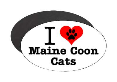 i love heart maine coon cats stickers, magnet