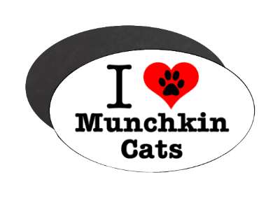 i love heart munchkin cats stickers, magnet