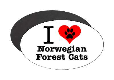 i love heart norwegian forest cats stickers, magnet