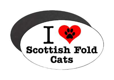 i love heart scottish fold cats stickers, magnet