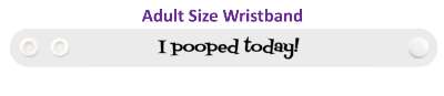i pooped today tell everyone stickers, magnet