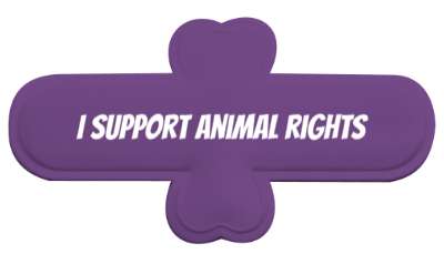 i support animal rights vegan stickers, magnet