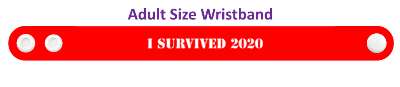 i survived 2020 covid shortage stickers, magnet
