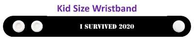 i survived 2020 crazy year stickers, magnet