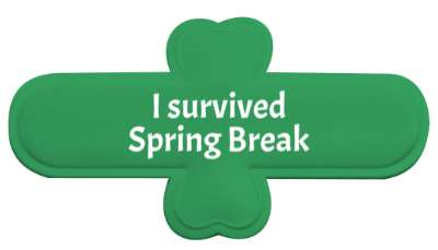 i survived spring break fun stickers, magnet
