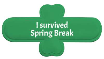 i survived spring break fun stickers, magnet