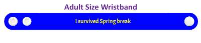 i survived spring break party survival stickers, magnet