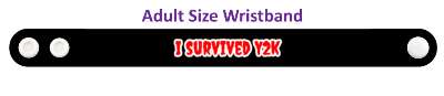 i survived y2k year 2000 stickers, magnet