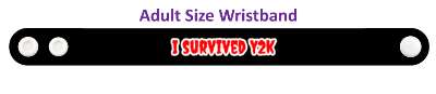 i survived y2k year 2000 stickers, magnet