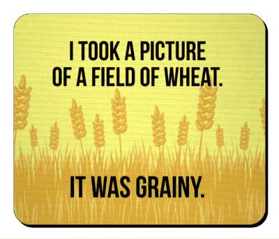 i took a picture of a field of wheat it was grainy funny pun stickers, magnet