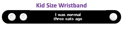 i was normal three cats ago fun funny stickers, magnet