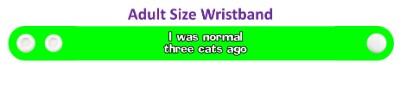i was normal three cats ago stickers, magnet