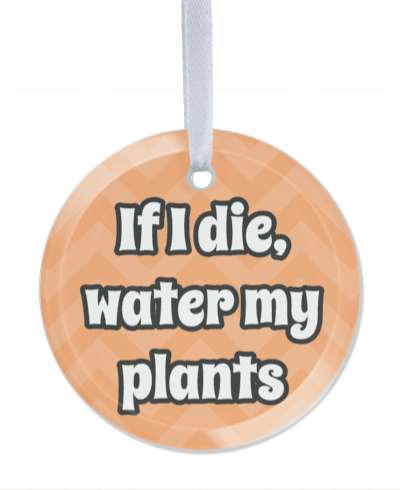 if i die water my plants peach chevron stickers, magnet