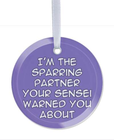im the sparring partner your sensei warned you about martial arts funny stickers, magnet