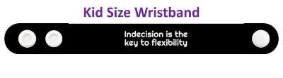indecision is the key to flexibility advice stickers, magnet