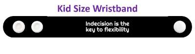 indecision is the key to flexibility advice stickers, magnet
