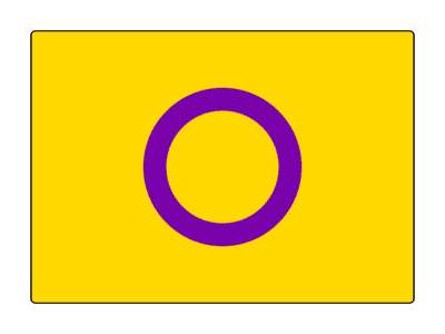intersex pride flag lgbt bright colors flag purple circle orange stickers, magnet