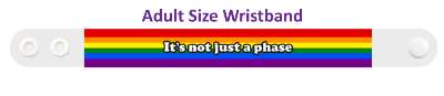 its not just a phase rainbow colors lgbt stickers, magnet