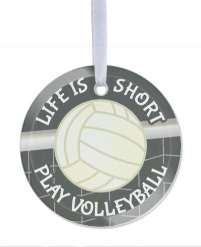 life is short play volleyball net grey stickers, magnet
