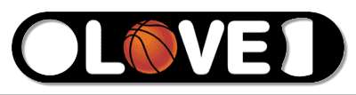 love basketball black white stickers, magnet