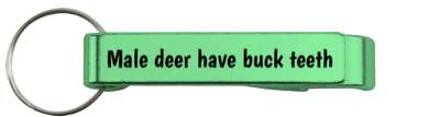 male deer have buck teeth joke pun stickers, magnet