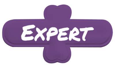 master expert stickers, magnet