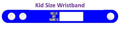 nametag hello my name is fill in blank stickers, magnet