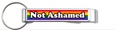 not ashamed lgbtq lgbt rainbow stickers, magnet