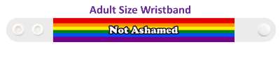 not ashamed rainbow colors lgbt stickers, magnet