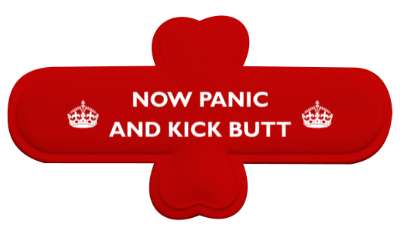 now panic and kick butt keep calm parody stickers, magnet