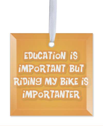 orange education is important but riding my bike is importanter saying funny stickers, magnet